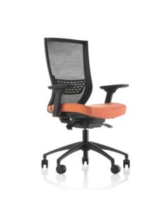 Saturn 100 Pa Başlıksız Şef Ofis Koltuğu