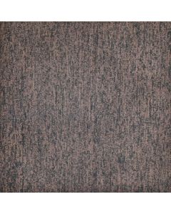 Conxorde 303