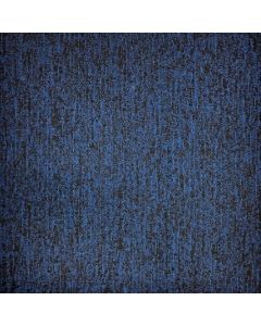 Conxorde 503