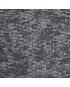 Halley 5012