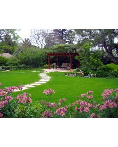 Peyzaj Malzemesi Teklif Talebi