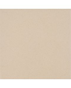 Kütahya Antiasit Bone Mat 20*20